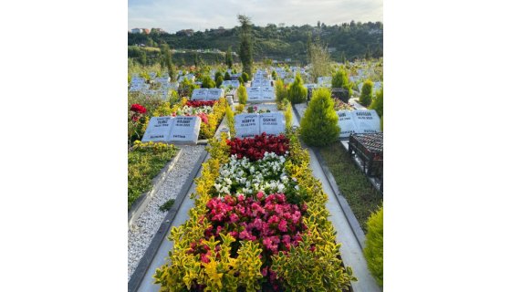 SON ÇALIŞMALARIMIZ